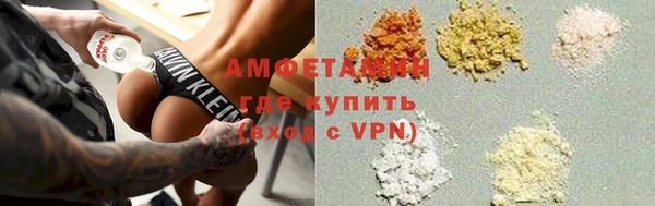 прущие грибы Алзамай