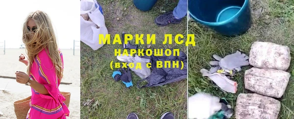 прущие грибы Алзамай
